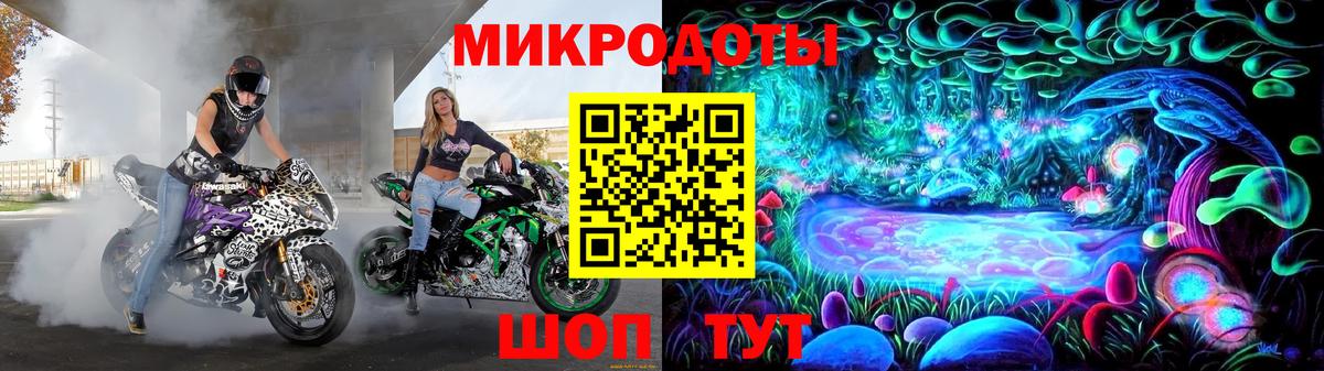 Псилоцибиновые грибы Psilocybe  Вход с VPN  Осинники 