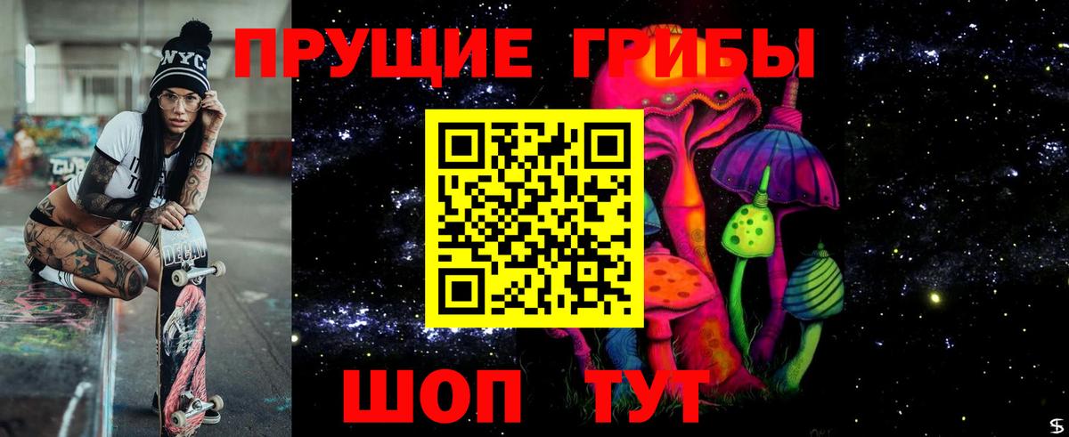 Псилоцибиновые грибы MAGIC MUSHROOMS Осинники